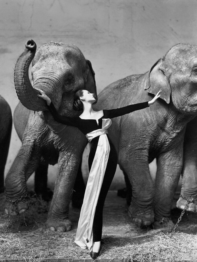 Richard Avedon photographs available through Ithaca Gallery