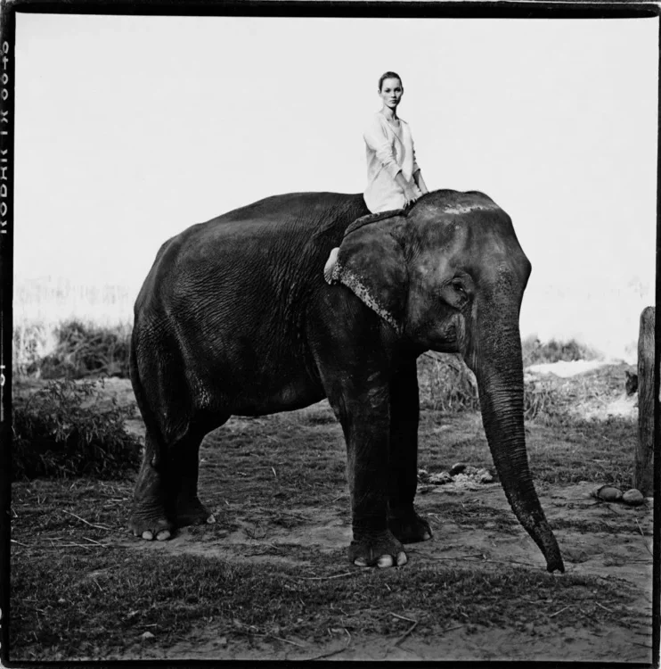 Kate Moss on Elephant, Nepal, British Vogue