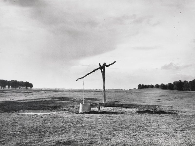 Hungarian Landscape, Puszta