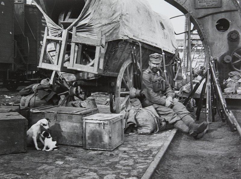Transport, Braila, Rumania