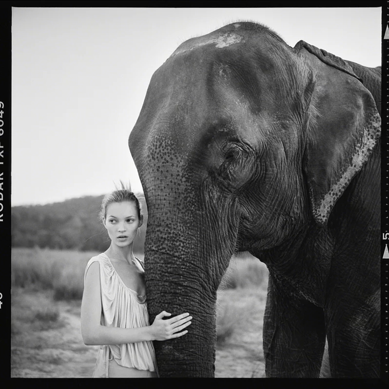Kate Moss and Elephant, Nepal, British Vogue