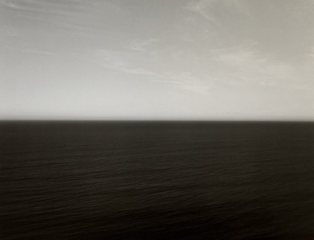 Tasman Sea, Ngarupupu, #331