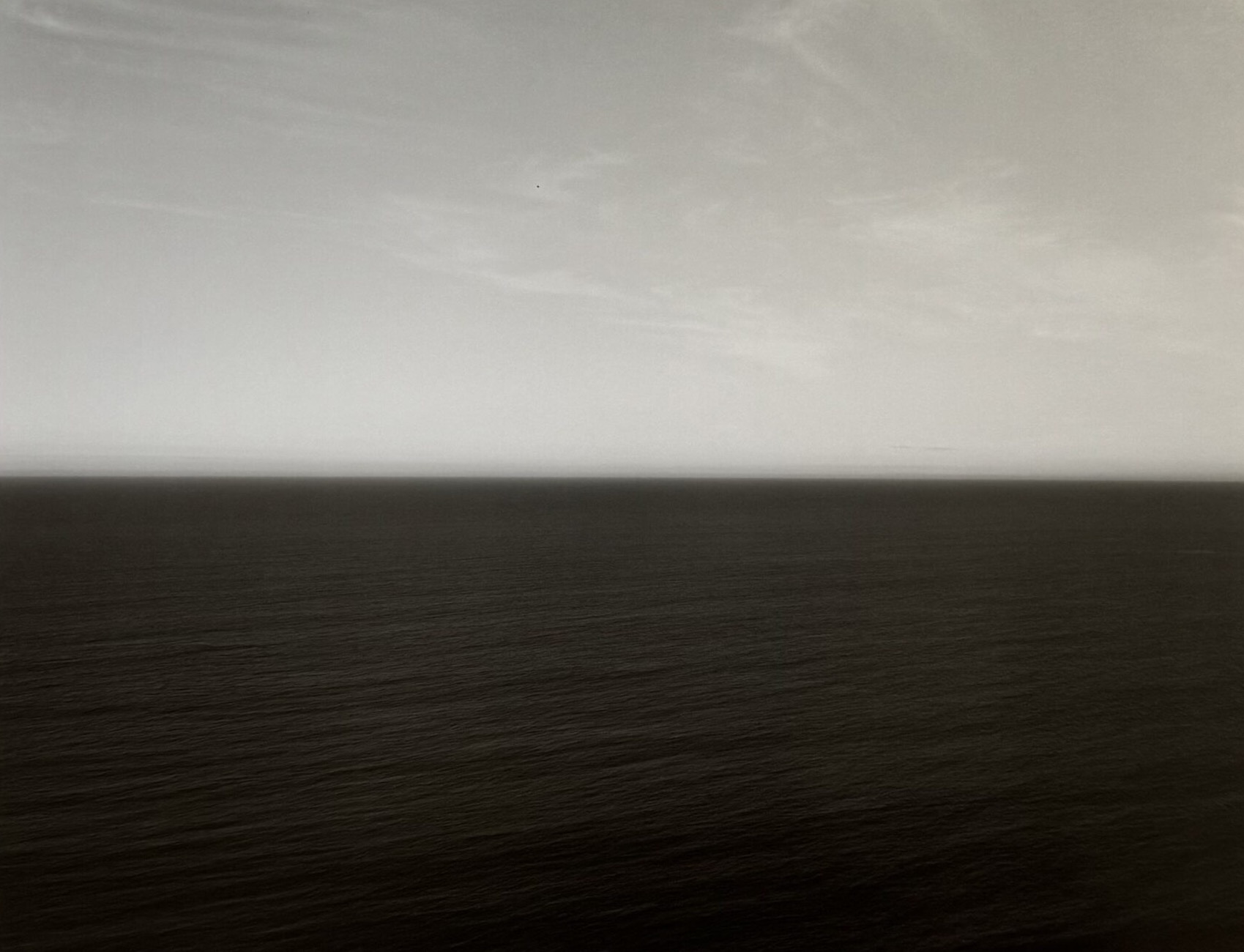 Tasman Sea, Ngarupupu, #331