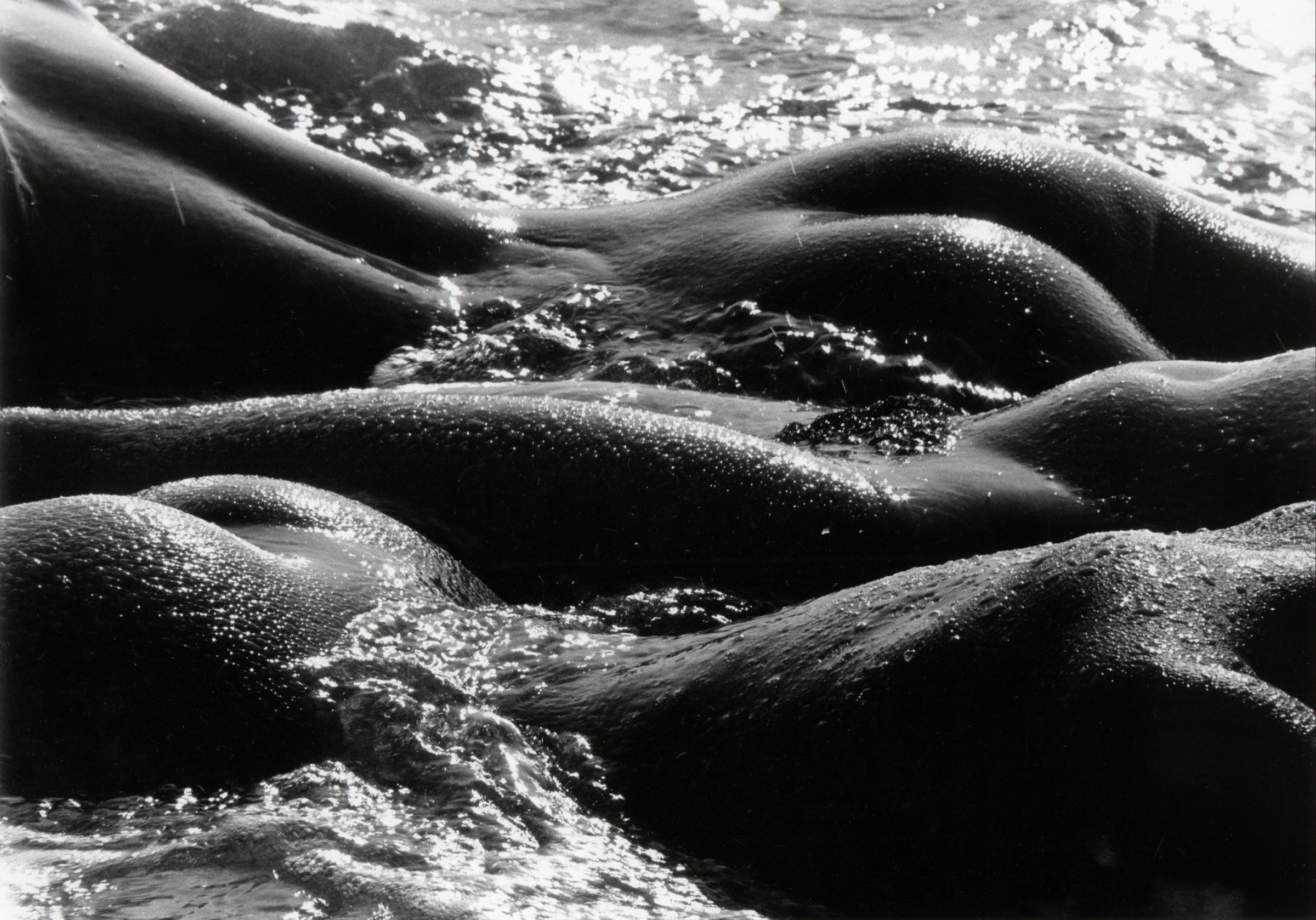 Lucien Clergue, Géantes de la mer, Camargue, 1978