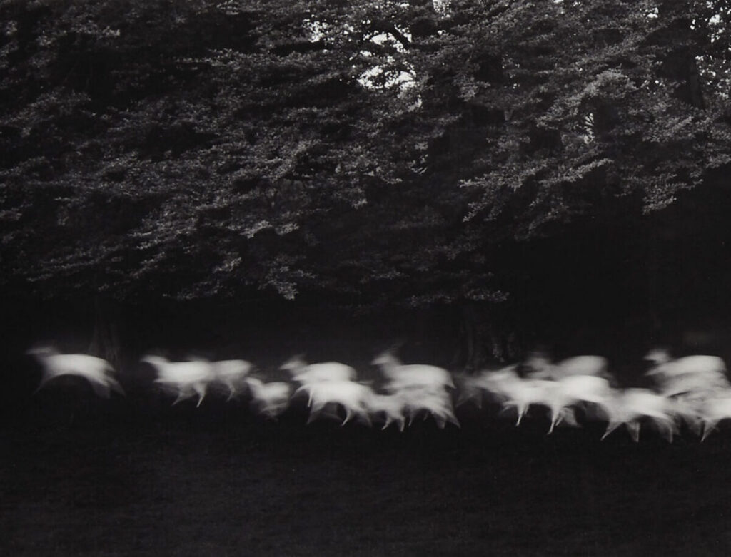 Paul Caponigro