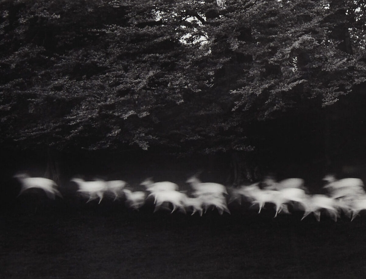 Paul Caponigro