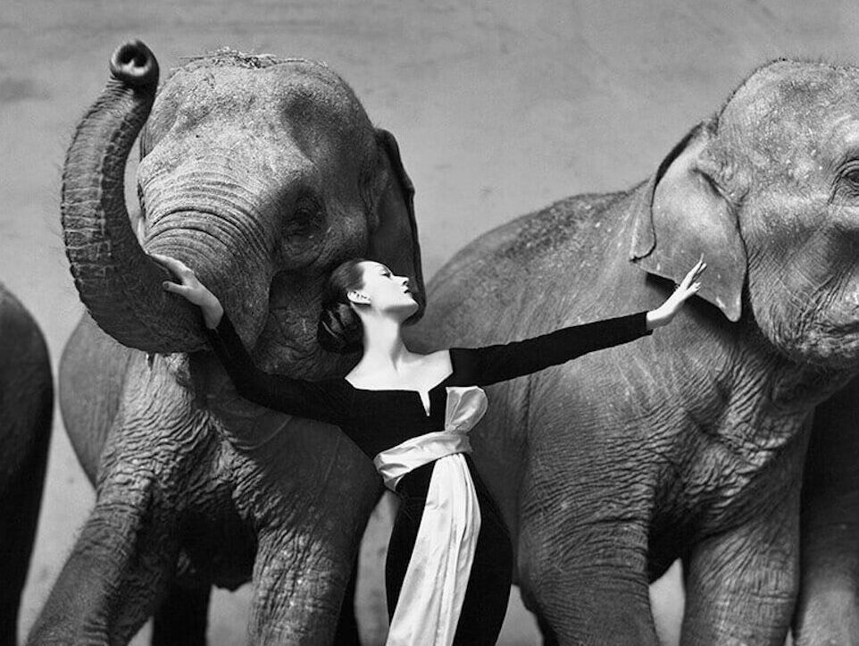 Richard Avedon