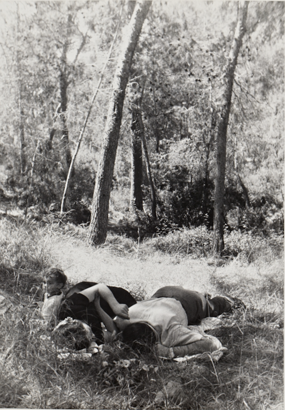 Untitled (family in grass)