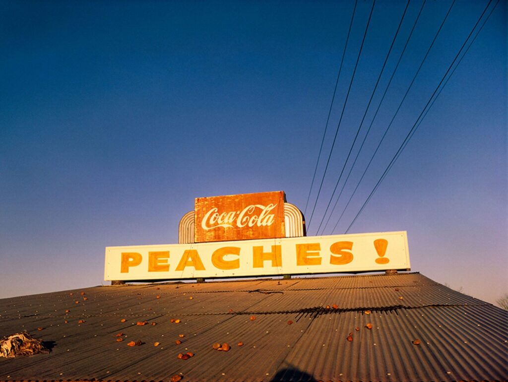William Eggleston