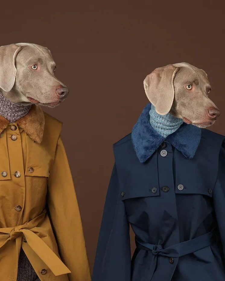 William Wegman