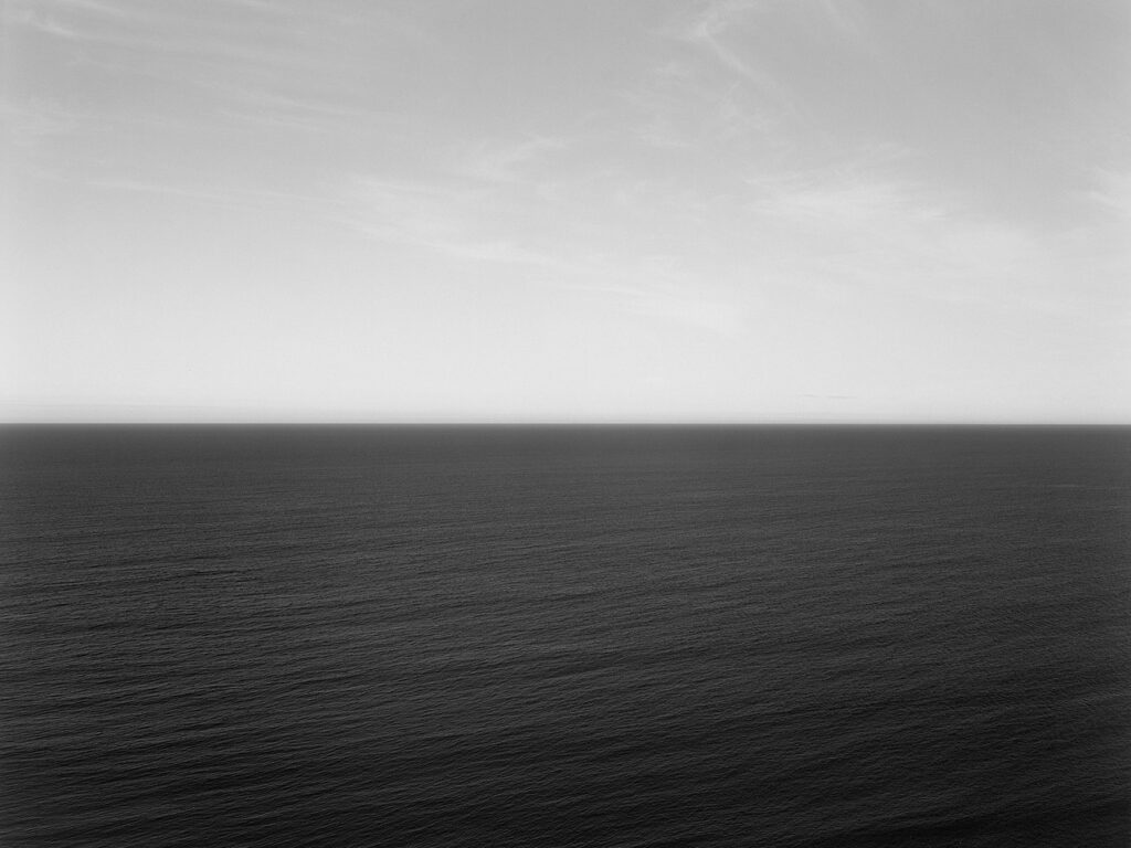Tasman Sea, Ngarupupu