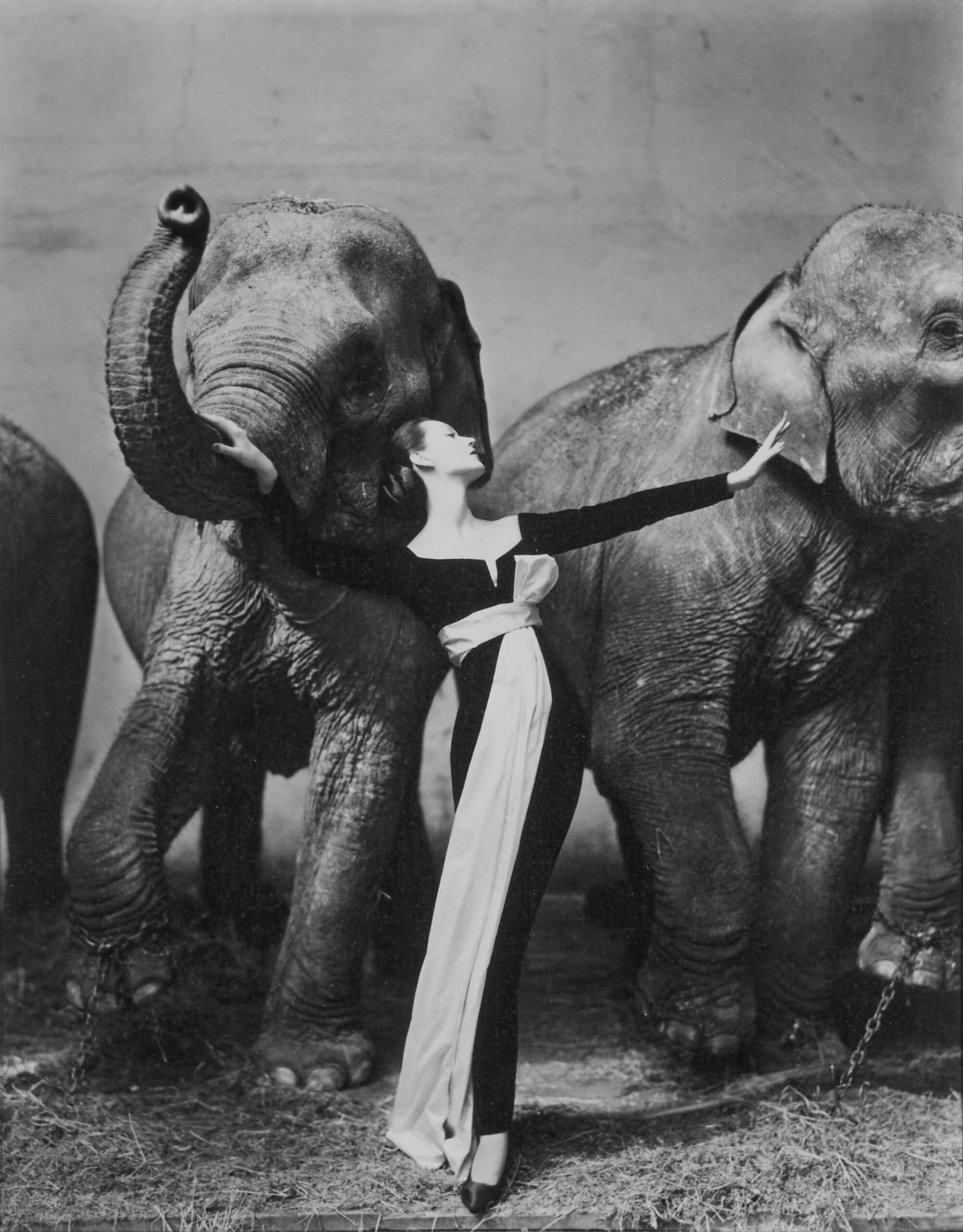 Richard Avedon: A Master of Fashion and Portraiture